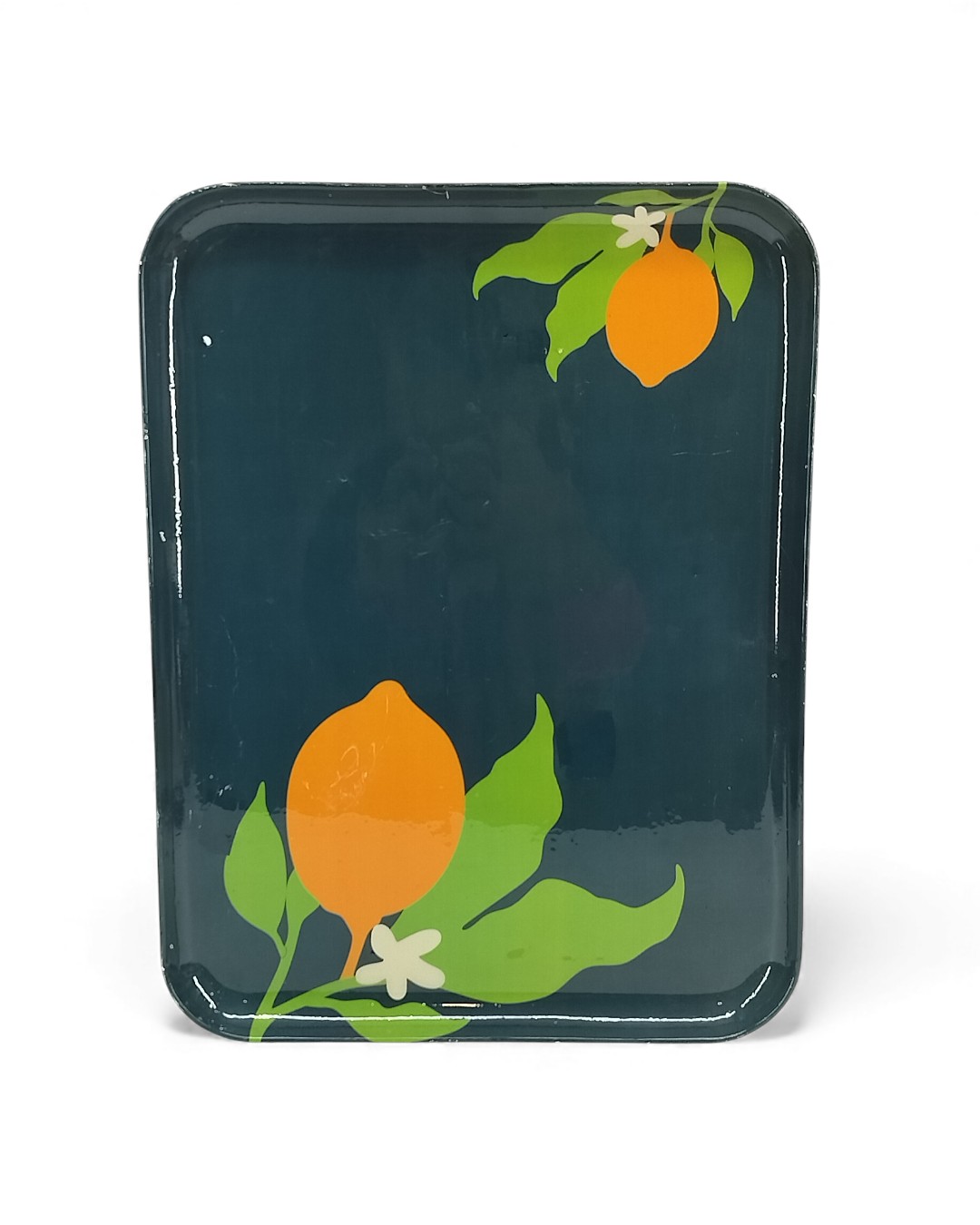 Deep Teal Citrus Botanical Tray